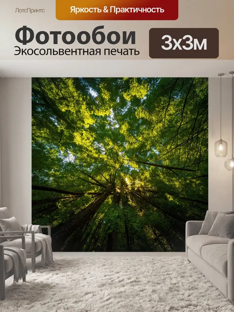 Фотообои дремучая часть леса со светом, пробивающимся сквозь кроны