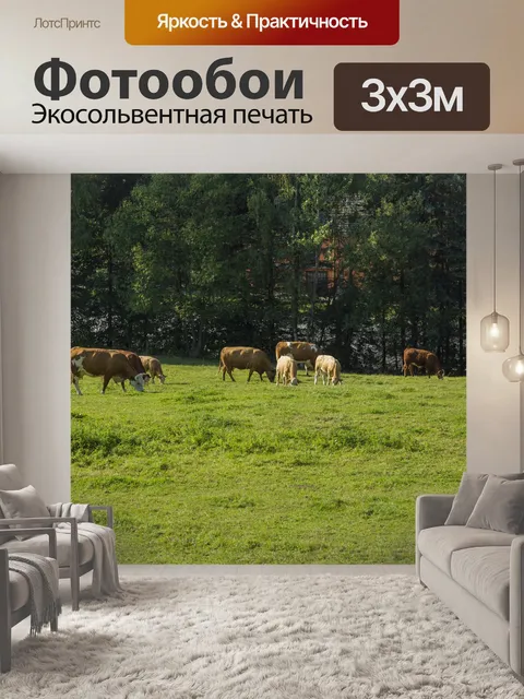 Фотообои Коровы