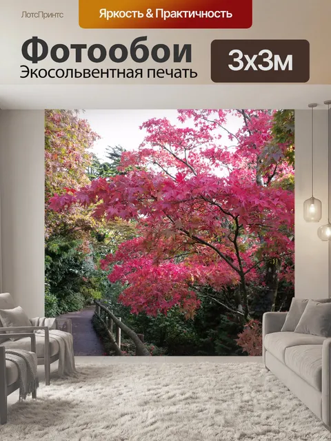 Фотообои Цвета осени