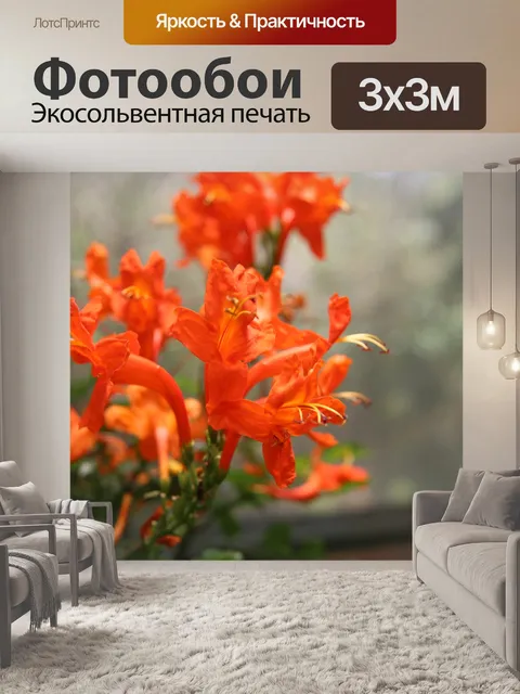 Фотообои Коста-Рика Оранжевый цветок