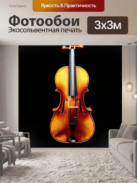 Фотообои фотография на черном фоне с виолой