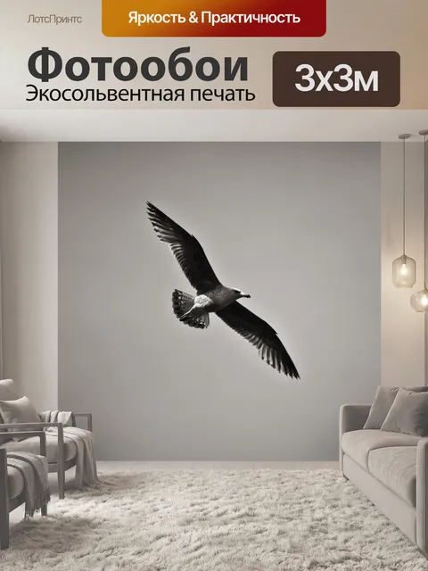 Фотообои Птица