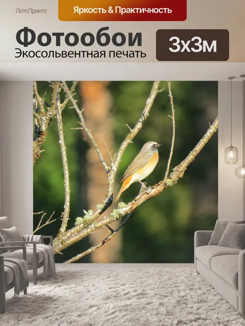 Фотообои Птица