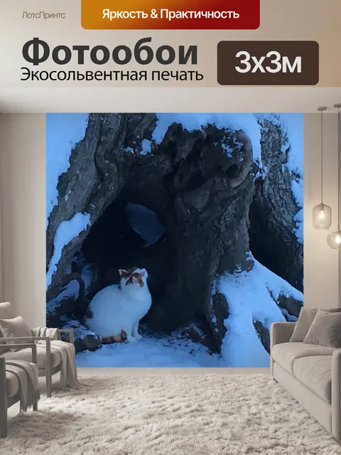Фотообои Кот в снегу