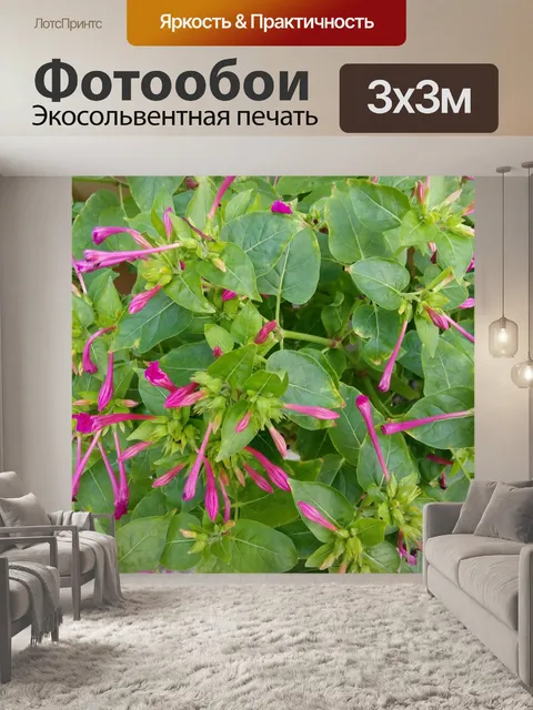 Фотообои Розовые