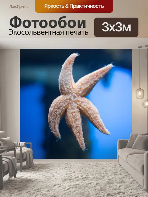 Фотообои Морская звезда