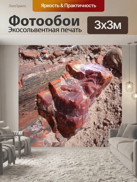 Фотообои Окаменевший лес национальный парк