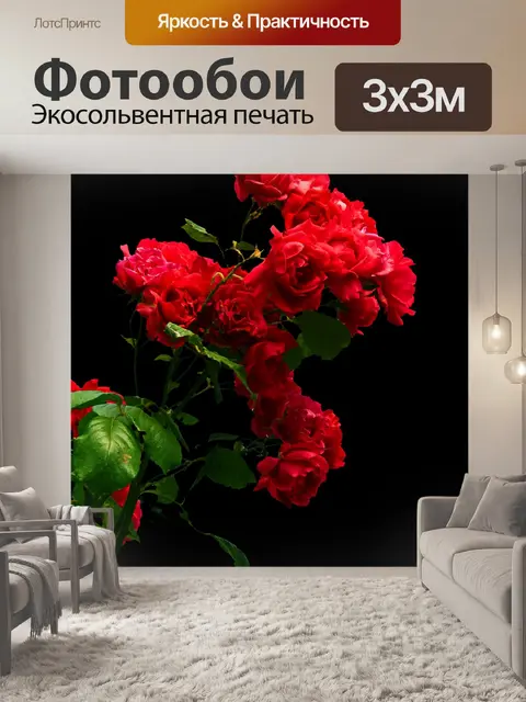 Фотообои Красные розы, черный фон