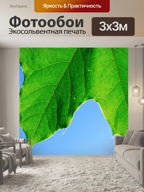 Фотообои Крупный план