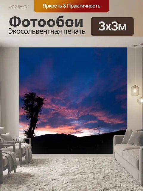 Фотообои Силуэт