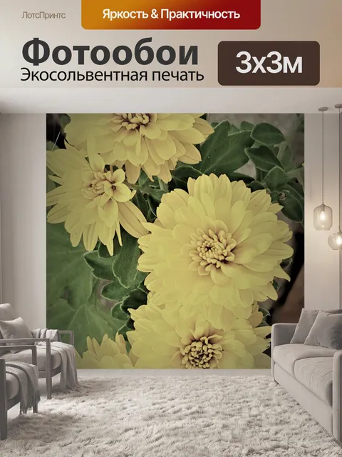 Фотообои Выцветшие хризантемы
