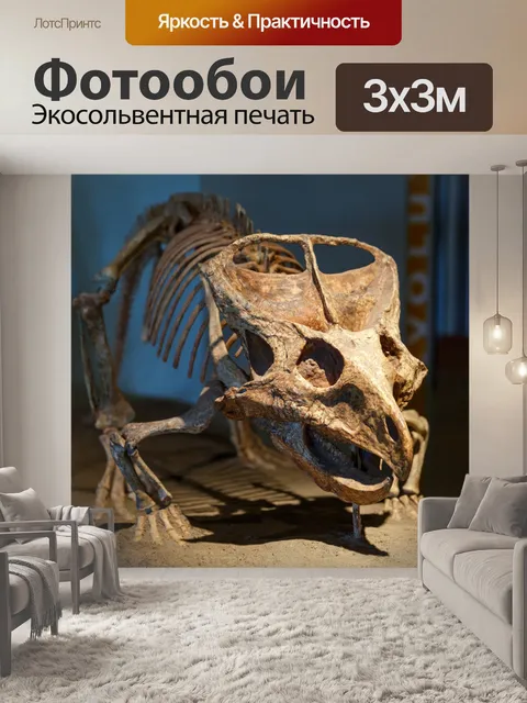 Фотообои Скелет динозавра
