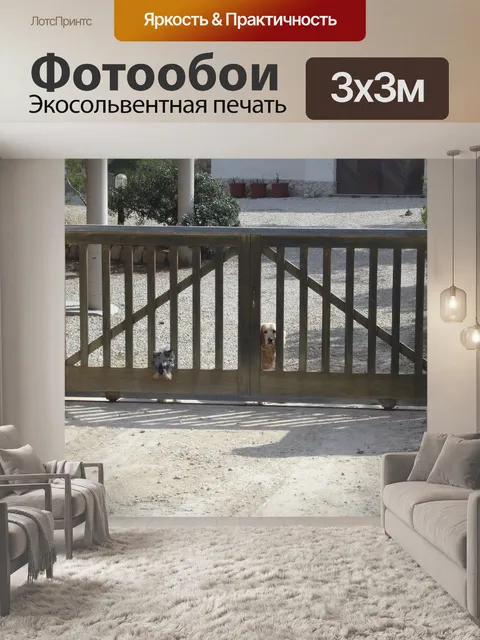 Фотообои Собаки