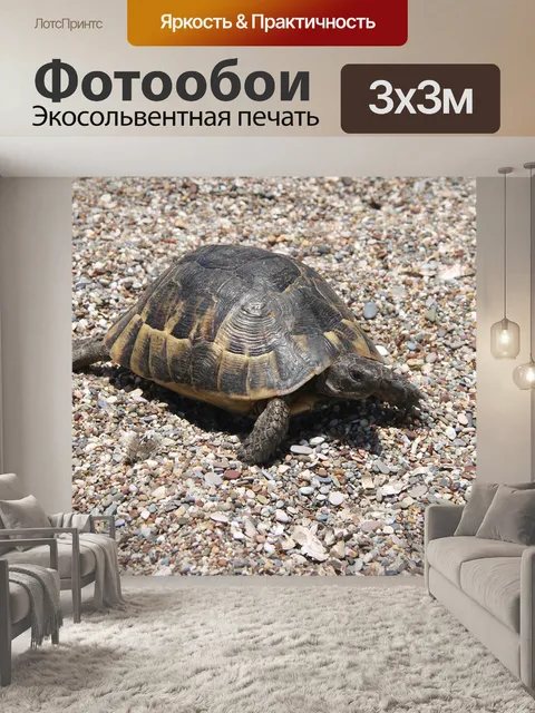 Фотообои Животные