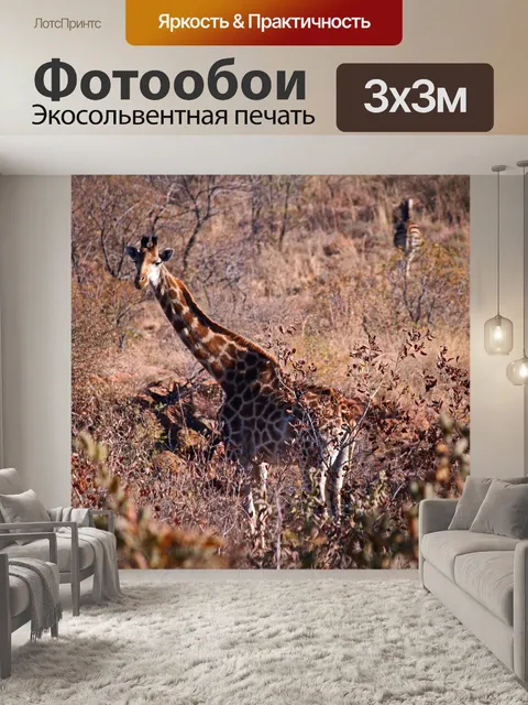 Фотообои жираф в сухом зимнем пейзаже