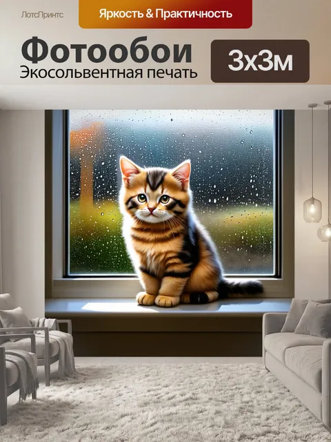 Фотообои британский котенок, сидящий на подоконнике, мечтательно смотрящий на дождь за стеклом