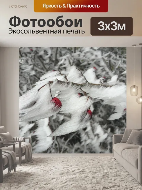 Фотообои Мороженое
