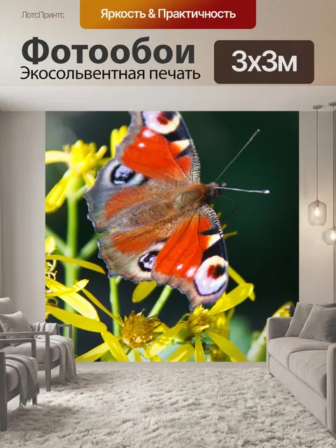 Фотообои Павлин бабочка