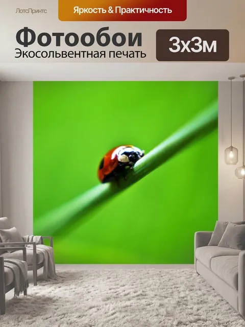 Фотообои Божья коровка