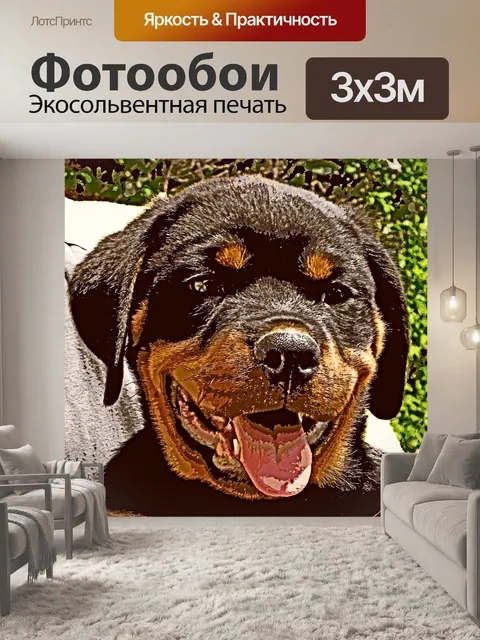 Фотообои Ротвейлер