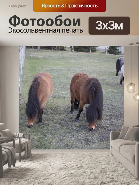 Фотообои Миниатюрный Лошадь Пони