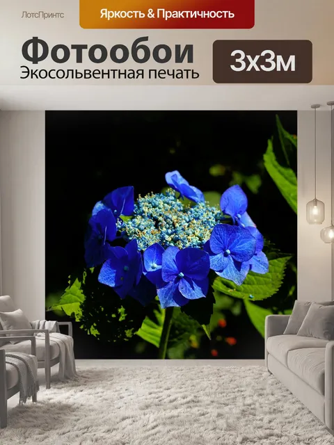 Фотообои Расцветает