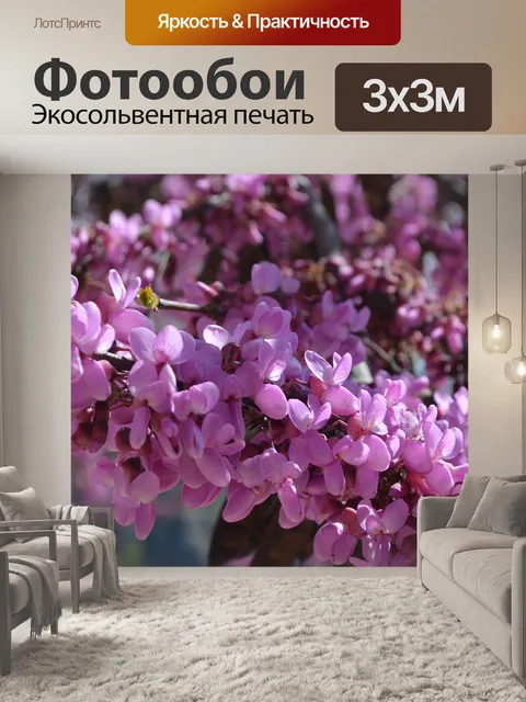 Фотообои Цветы
