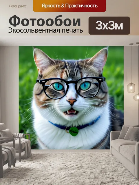 Фотообои смешной кот в очках, развлекающий себя во дворе