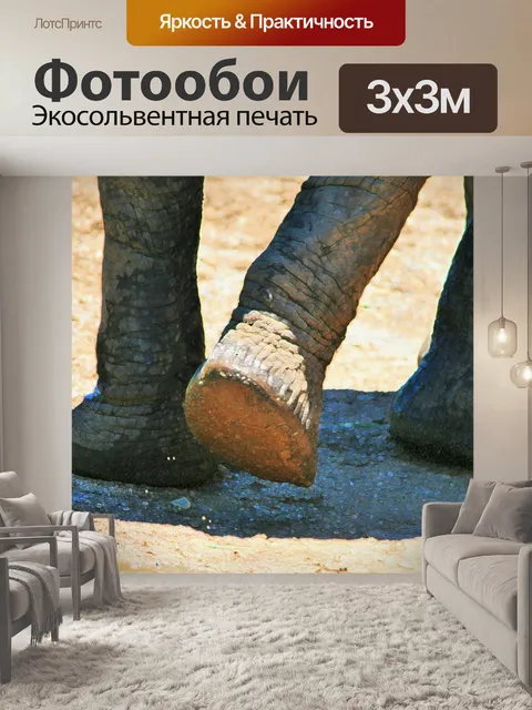 Фотообои африканские ноги слонов