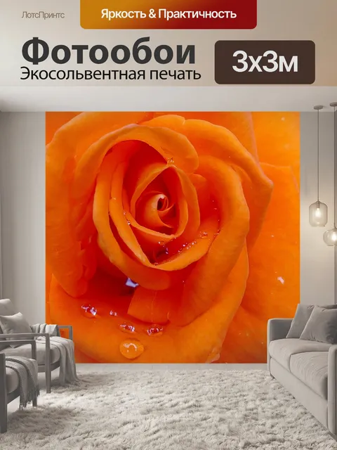 Фотообои Роза