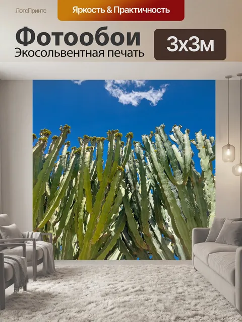 Фотообои Зеленые кактусы и голубое небо