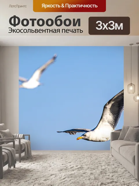 Фотообои Птица