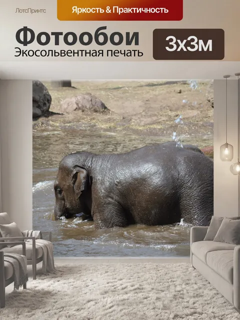 Фотообои В ванне со слонами 13