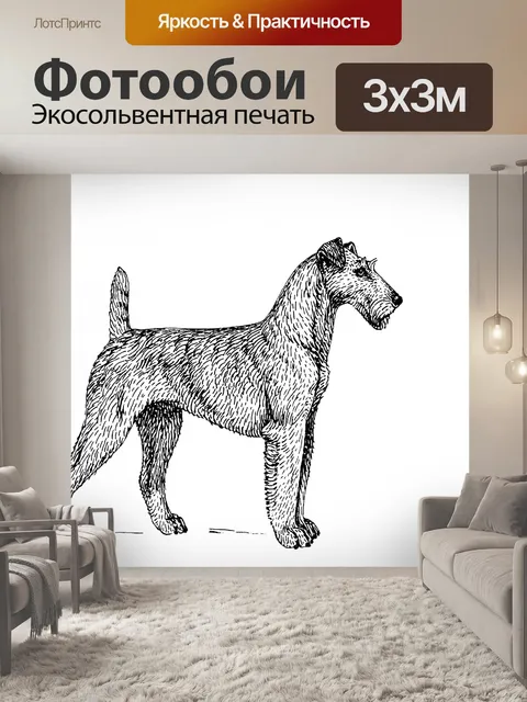 Фотообои Ирландский терьер Собака Рисунок