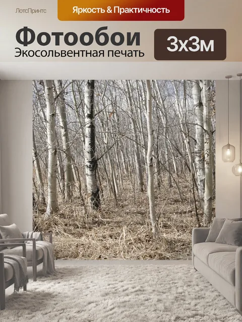 Фотообои Березы лес