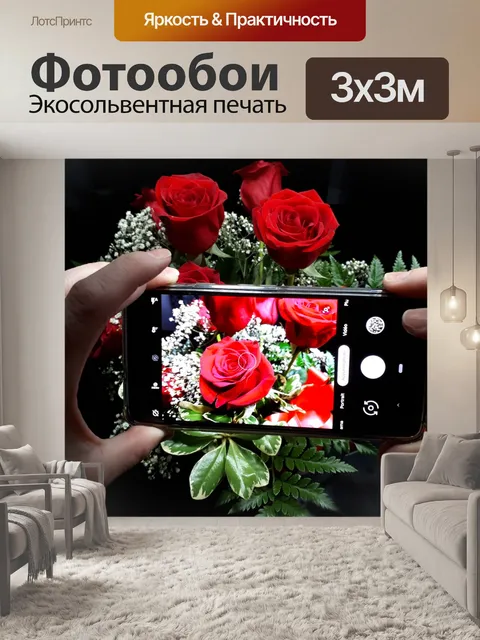 Фотообои Роза фотография