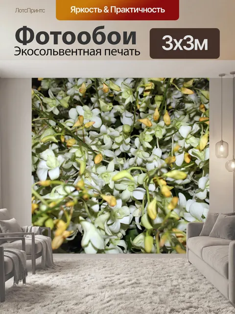 Фотообои белые крошечные цветы