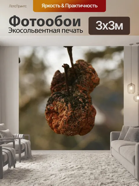 Фотообои Яблоко