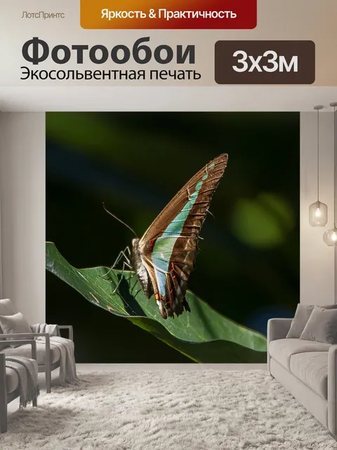 Фотообои Синий треугольник бабочка