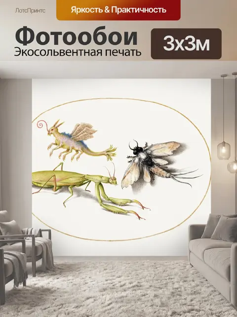 Фотообои Насекомые винтаж искусство старые