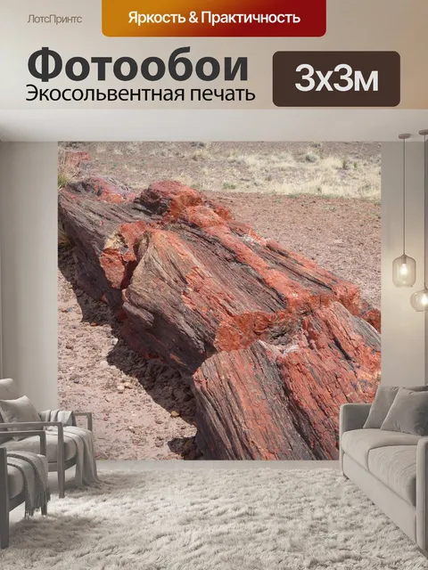 Фотообои Окаменевший лес национальный парк