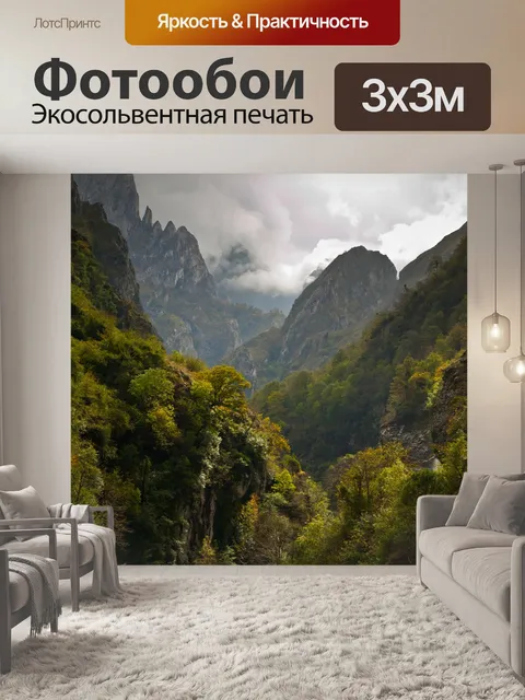 Фотообои Бейос