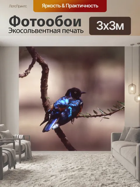 Фотообои Птица
