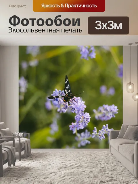 Фотообои Бабочка