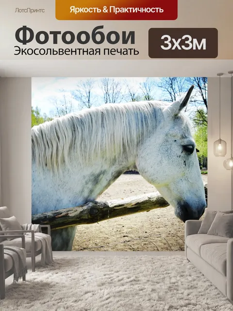 Фотообои Лошадь