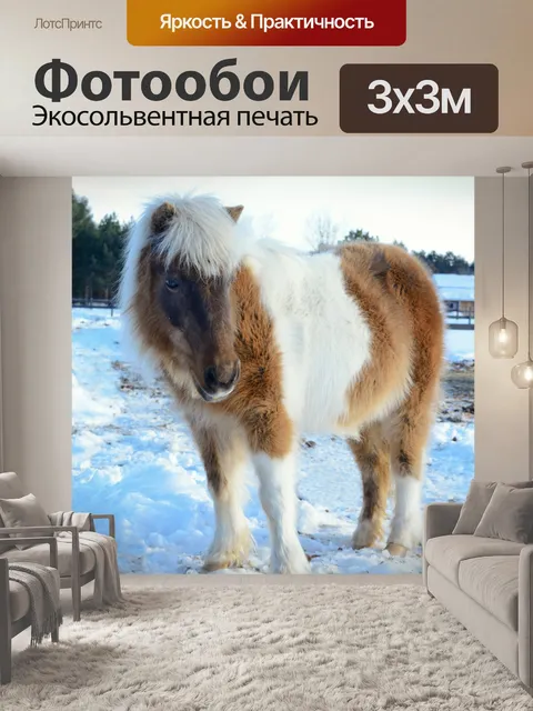 Фотообои Пони с толстым мехом