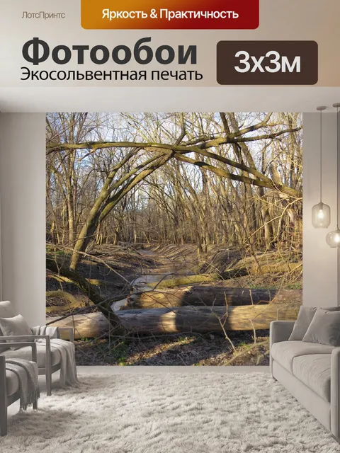 Фотообои Деревья