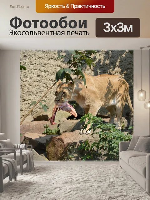 Фотообои Животное король 06