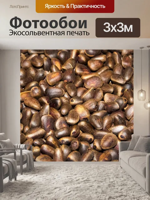 Фотообои Орехи кедровые