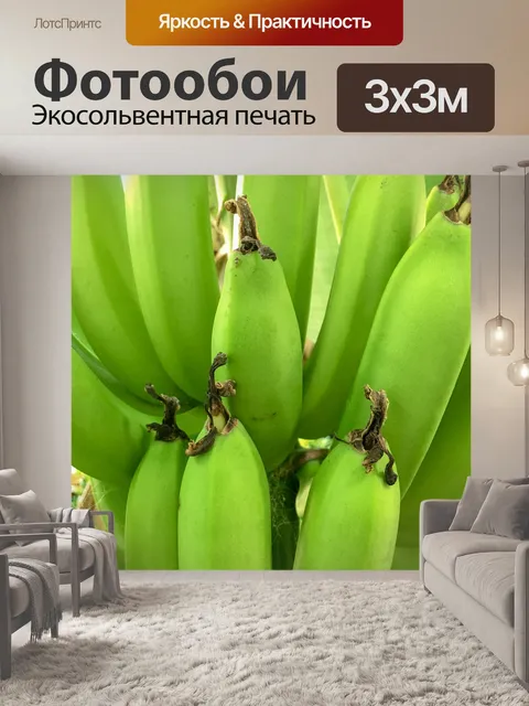 Фотообои Растущие бананы